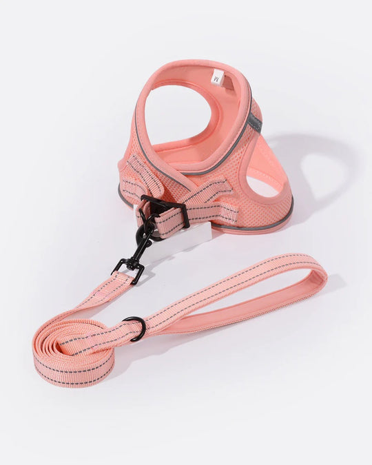 OxyMesh Velcro Step-in Harness and Leash Set