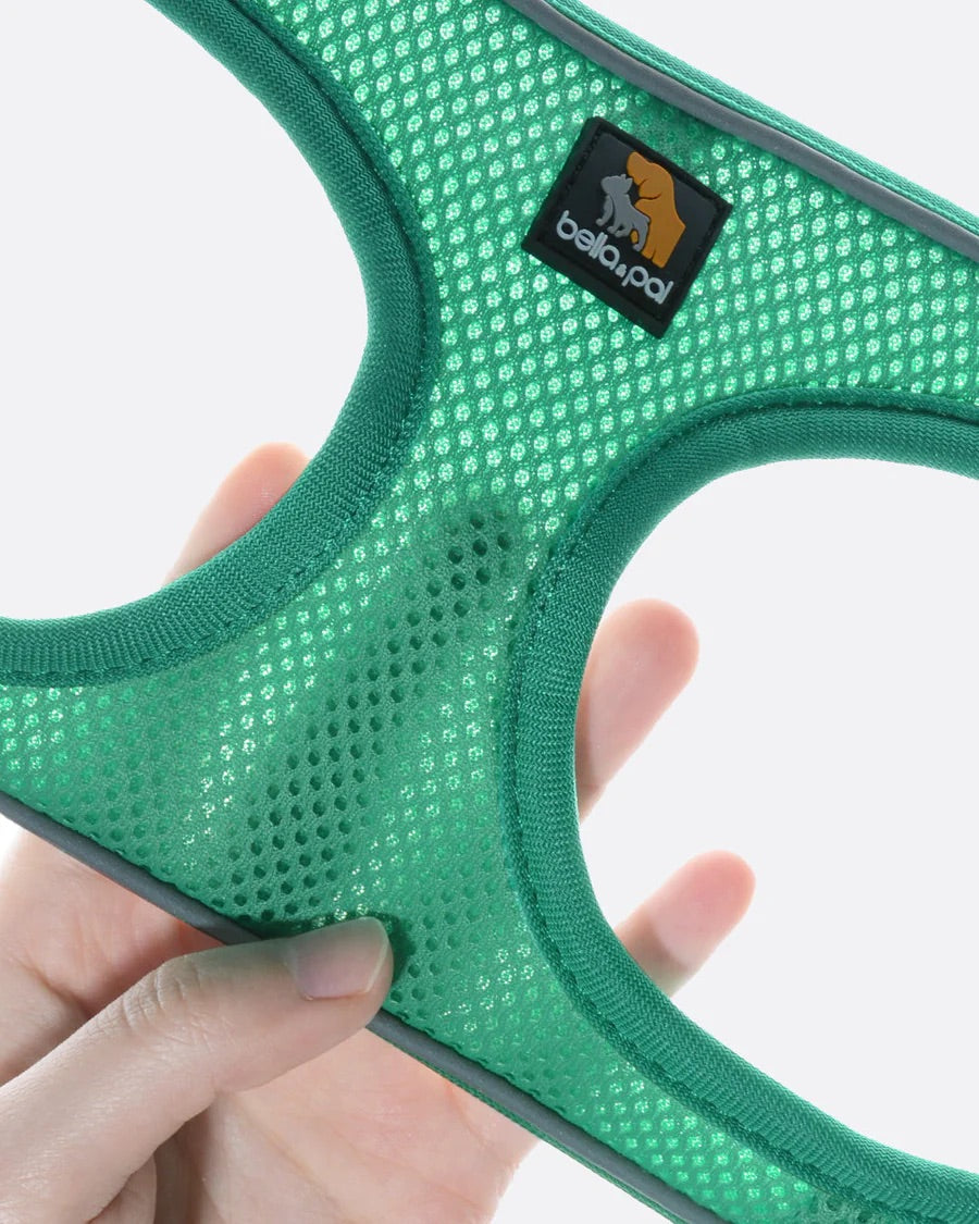 OxyMesh Velcro Step-in Harness and Leash Set