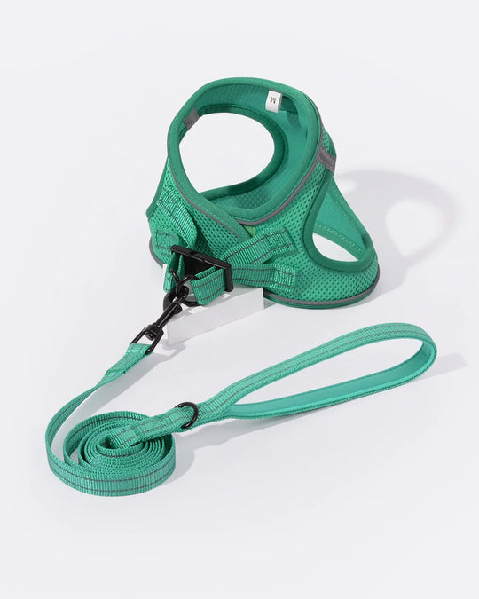 OxyMesh Velcro Step-in Harness and Leash Set