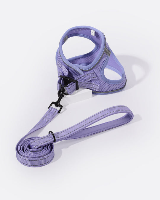 OxyMesh Velcro Step-in Harness and Leash Set