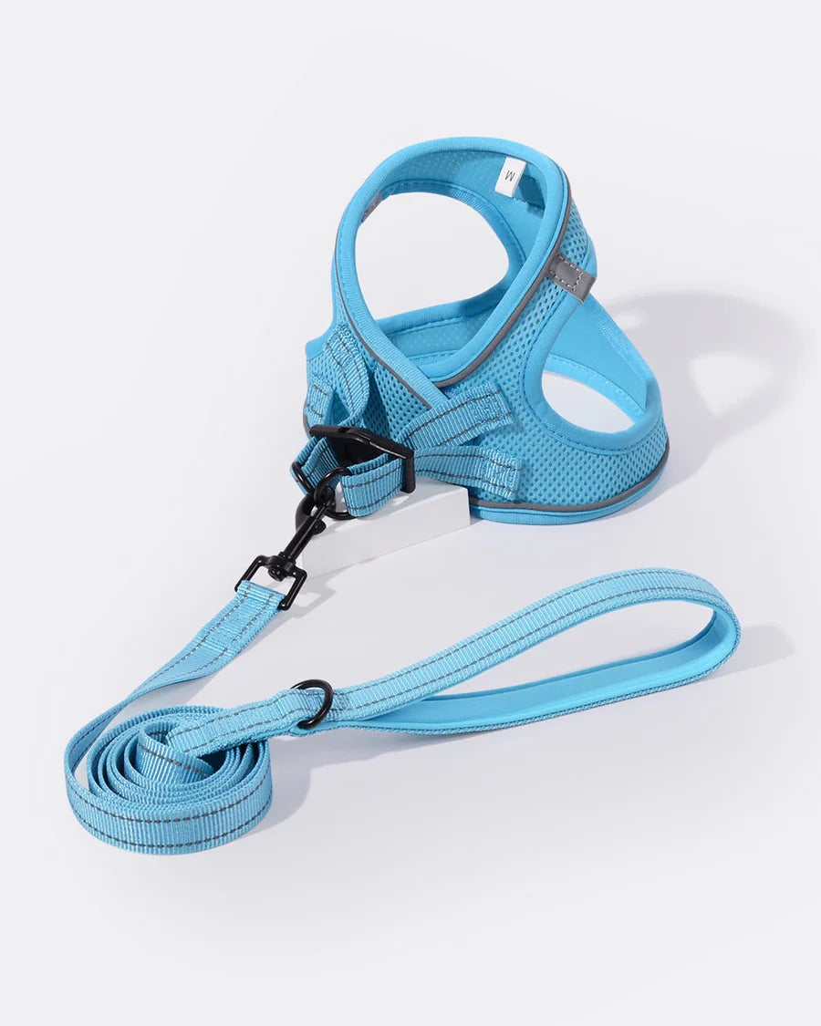OxyMesh Velcro Step-in Harness and Leash Set