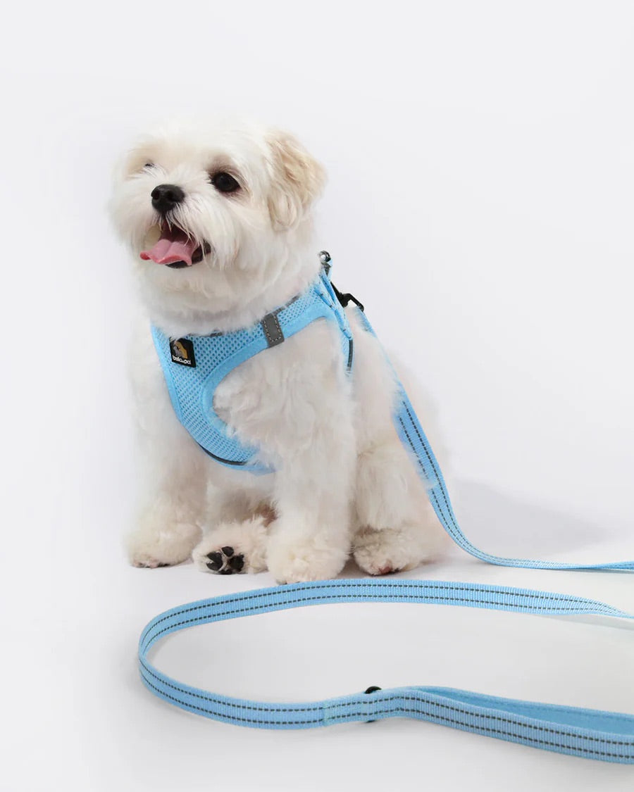 OxyMesh Velcro Step-in Harness and Leash Set