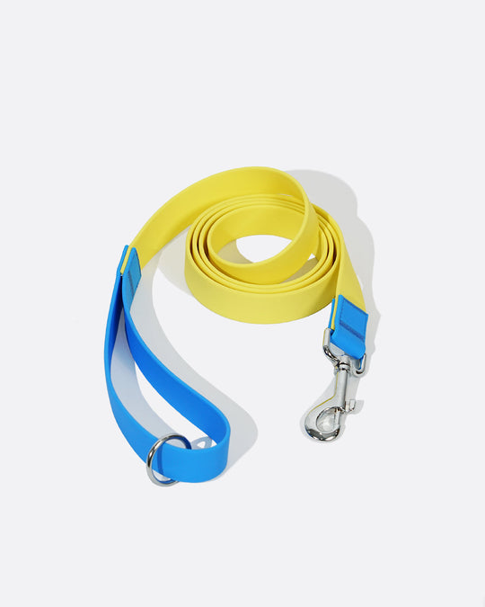 Aqua PVC Waterproof Martingale Collar and Leash Set