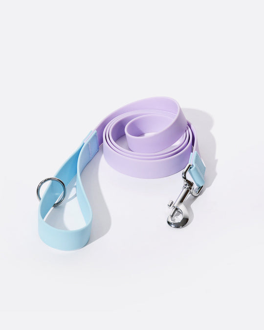 Aqua PVC Waterproof Martingale Collar and Leash Set