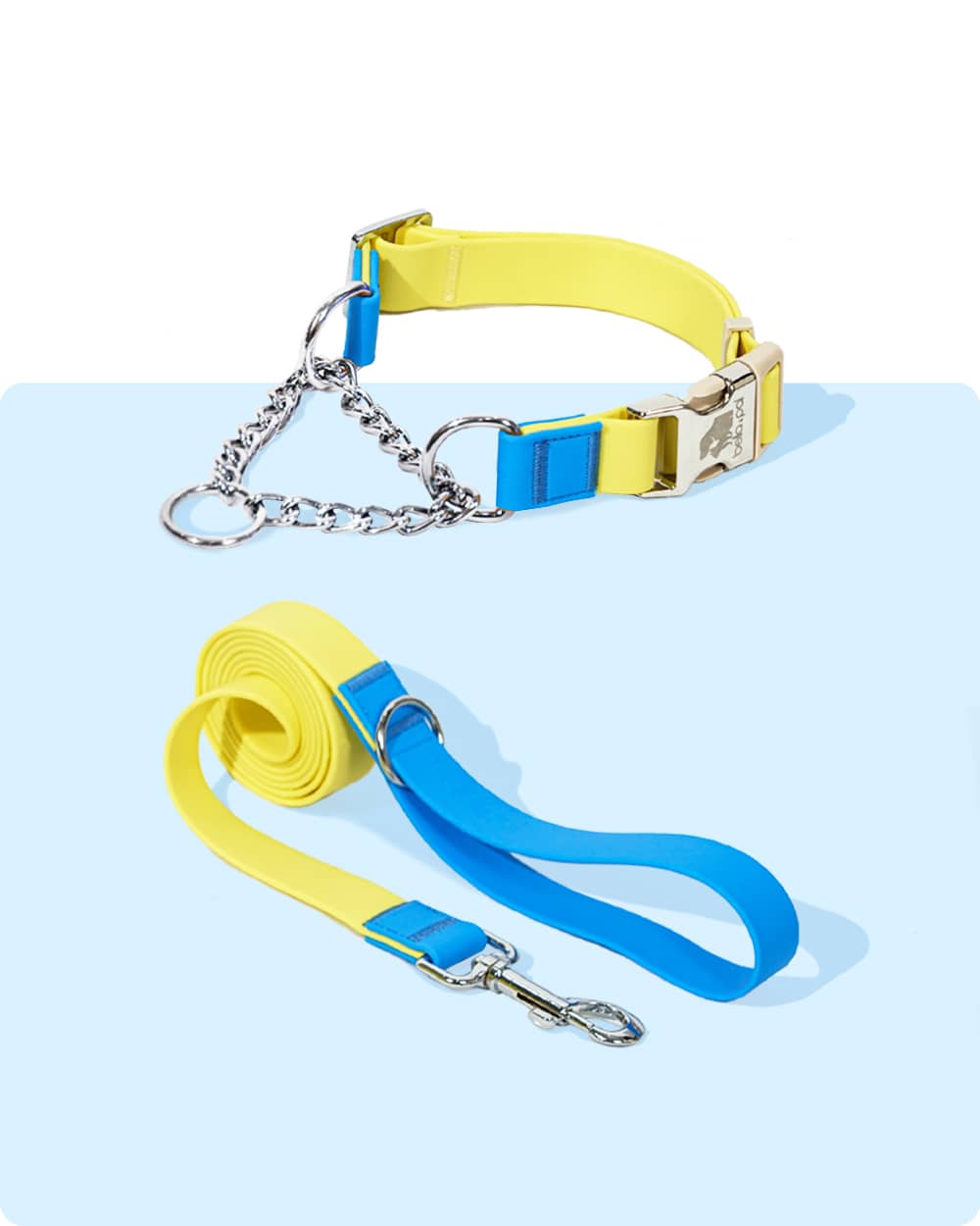Aqua PVC Waterproof Martingale Collar and Leash Set