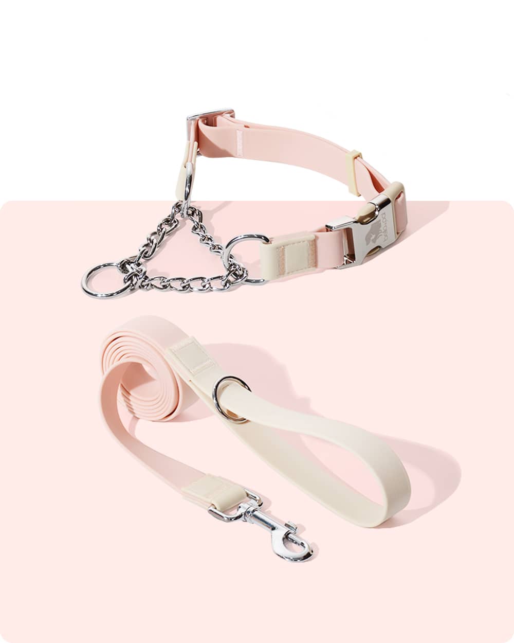 Aqua PVC Waterproof Martingale Collar and Leash Set