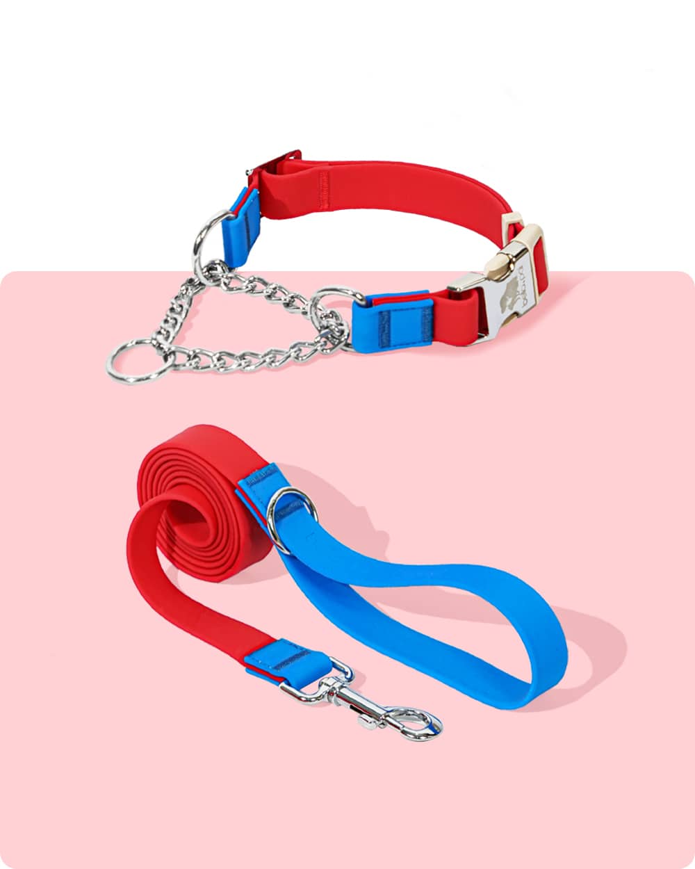 Aqua PVC Waterproof Martingale Collar and Leash Set