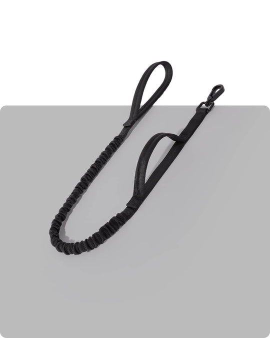 Heavy Duty Bungee Dog Leash