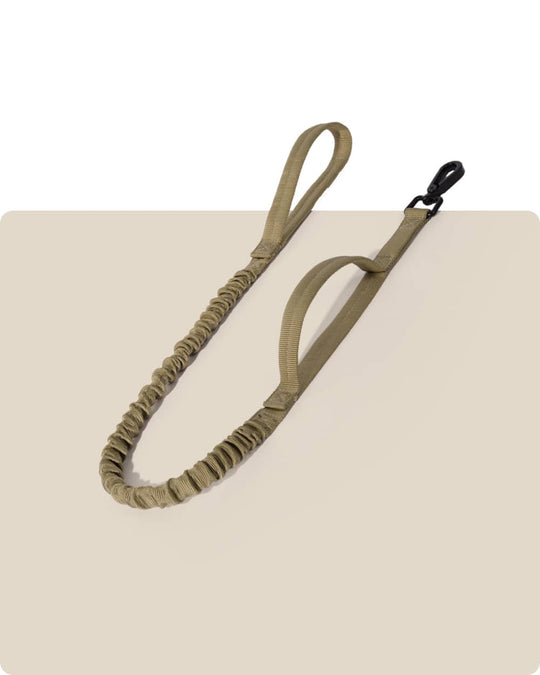 Heavy Duty Bungee Dog Leash