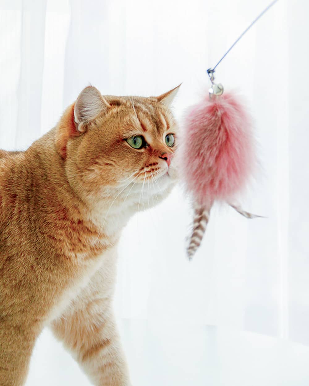 Feather Cat Teaser Wand with Bell
