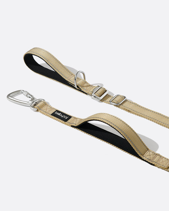 All-Metal Multifunctional Hands-Free Dog Leash