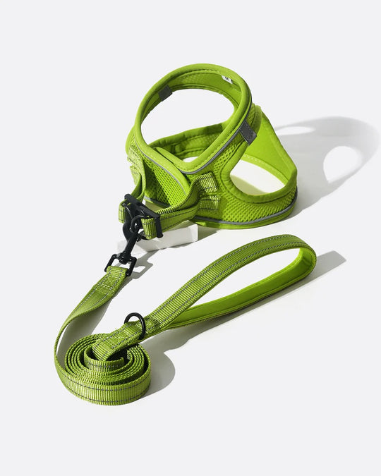 OxyMesh Velcro Step-in Harness and Leash Set
