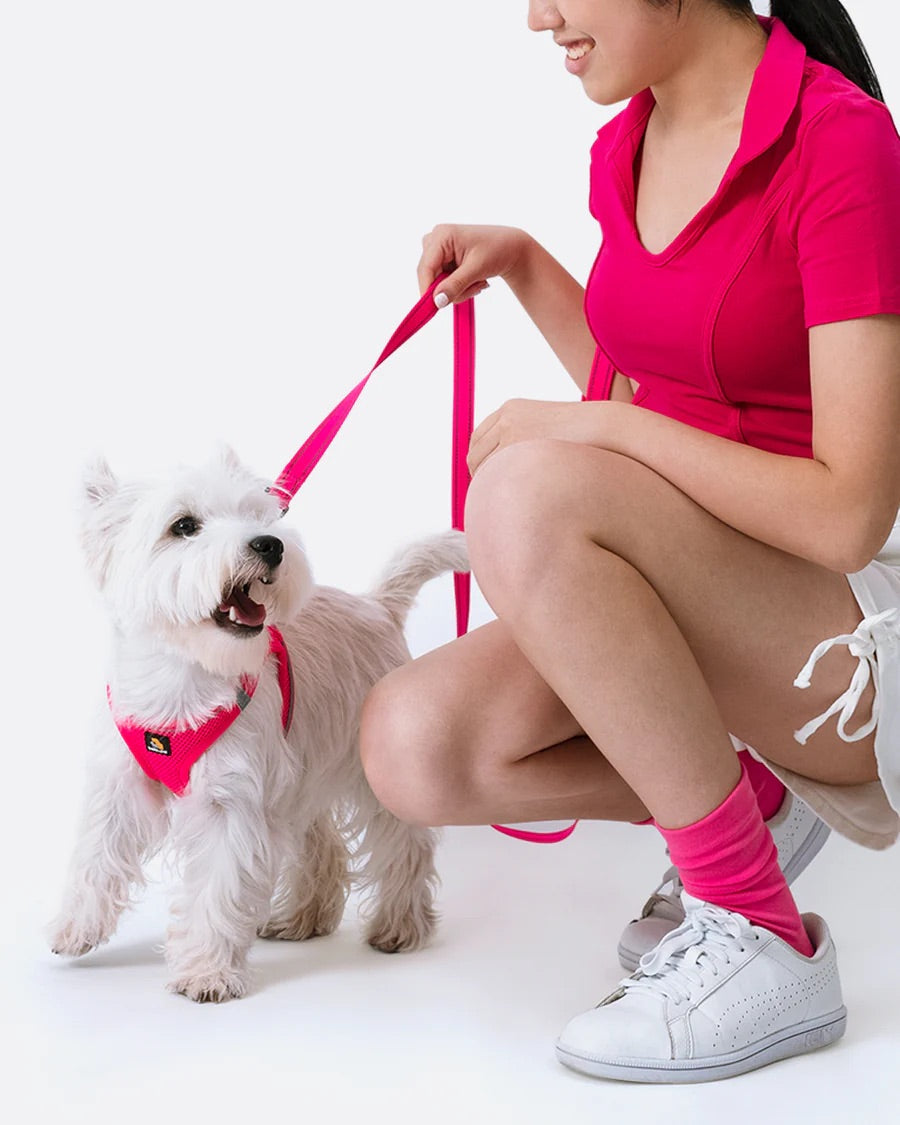 OxyMesh Velcro Step-in Harness and Leash Set