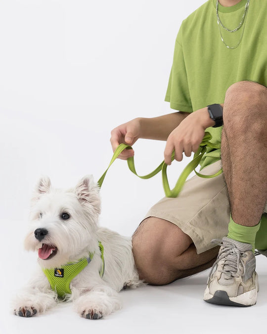 OxyMesh Velcro Step-in Harness and Leash Set