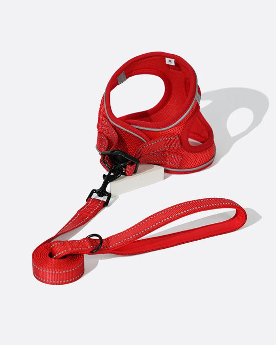 OxyMesh Velcro Step-in Harness and Leash Set