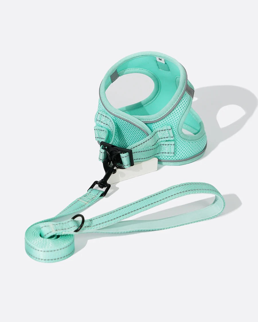 OxyMesh Velcro Step-in Harness and Leash Set