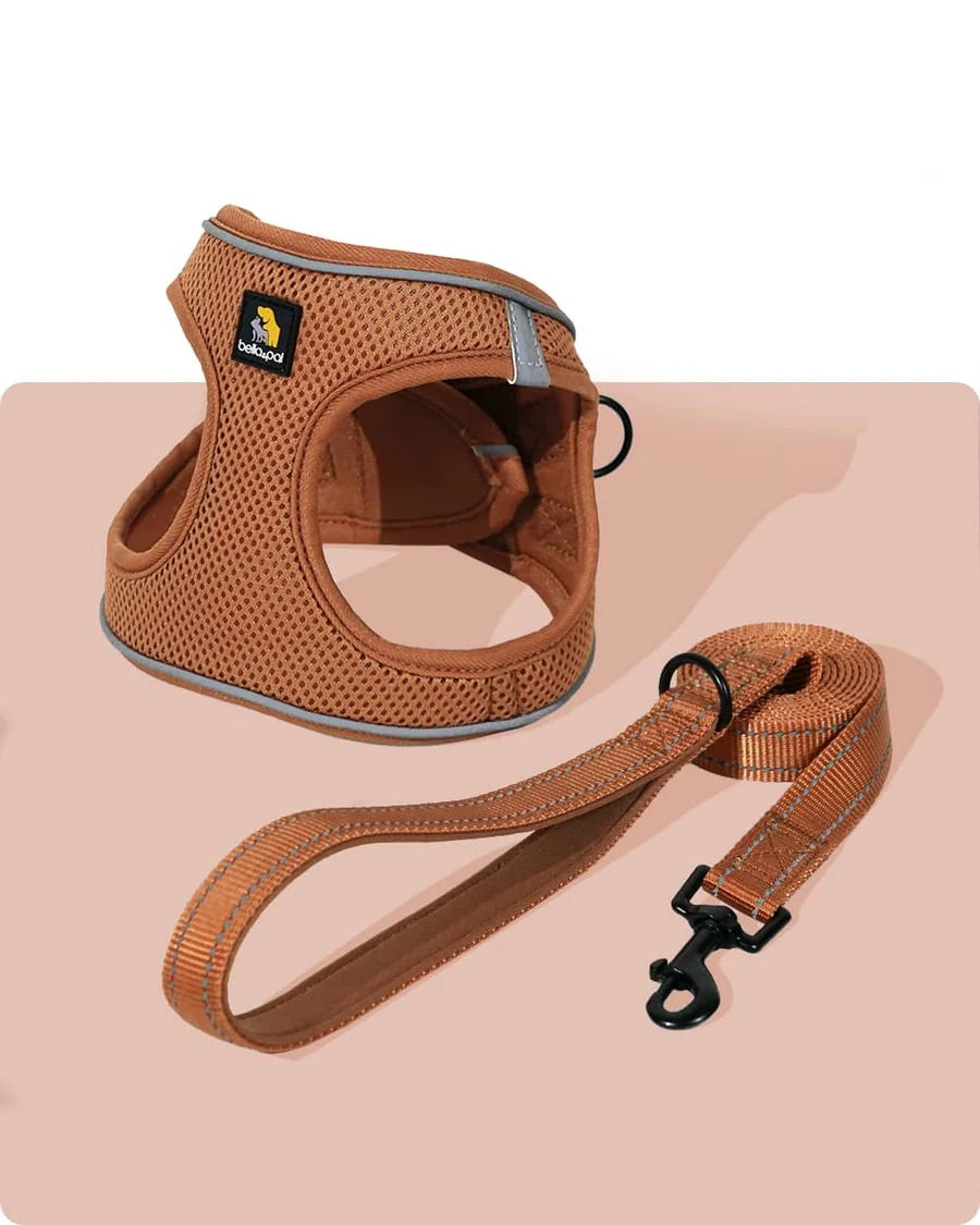 OxyMesh Velcro Step-in Harness and Leash Set