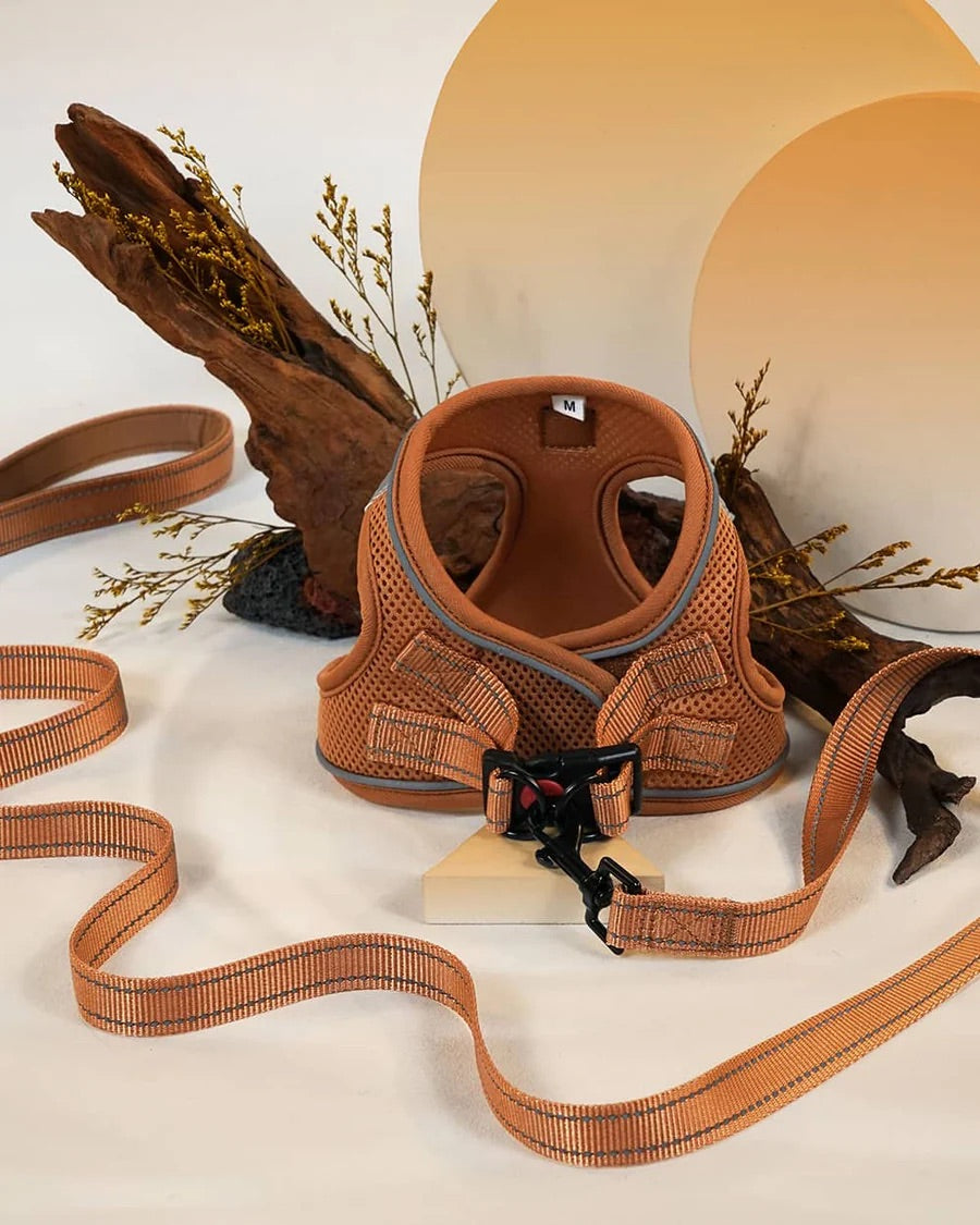 OxyMesh Velcro Step-in Harness and Leash Set