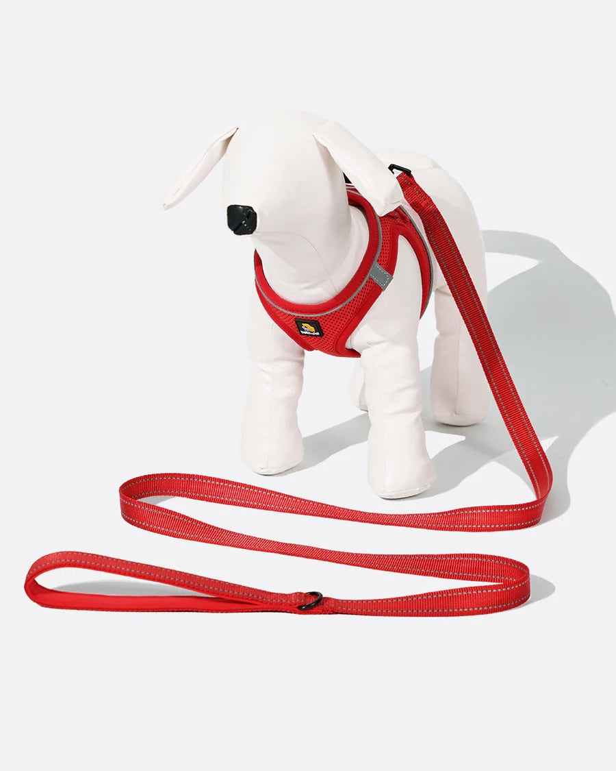 OxyMesh Velcro Step-in Harness and Leash Set