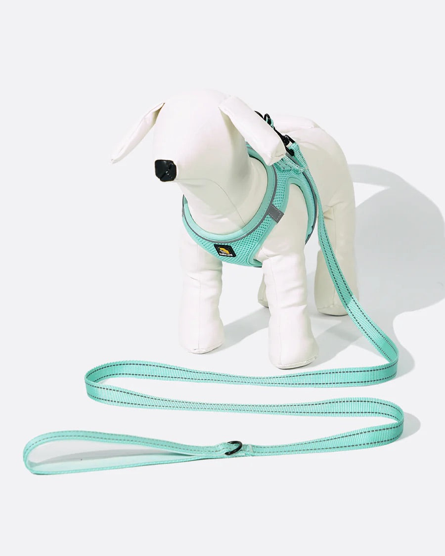 OxyMesh Velcro Step-in Harness and Leash Set