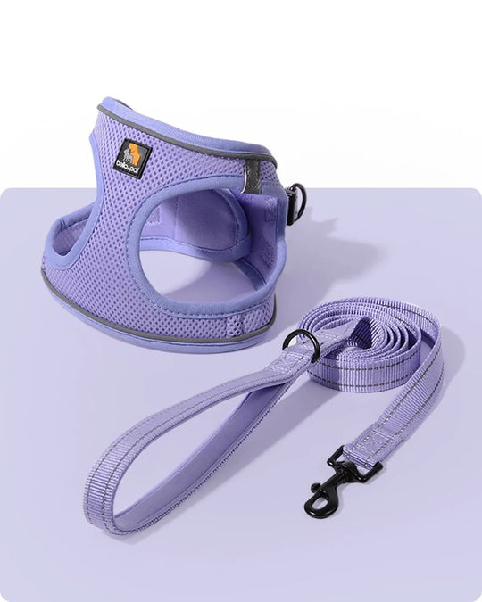 OxyMesh Velcro Step-in Harness and Leash Set