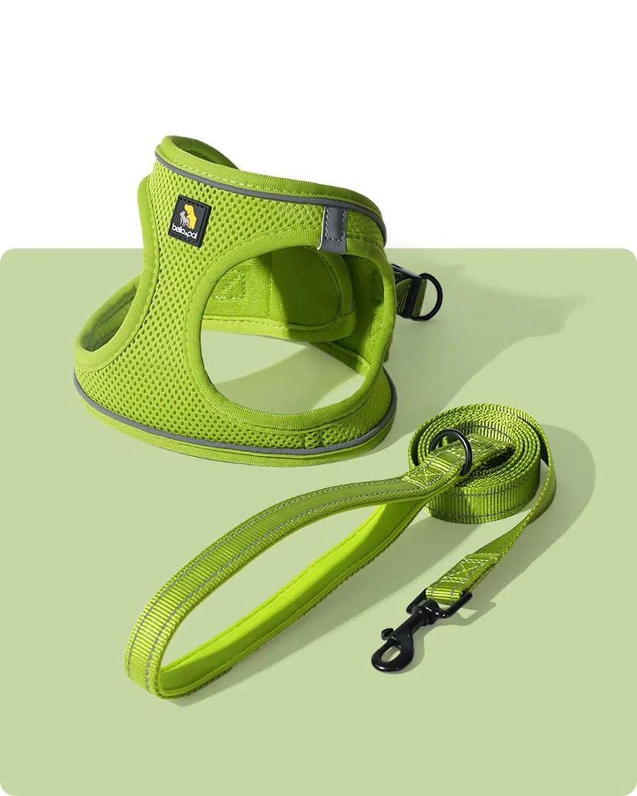 OxyMesh Velcro Step-in Harness and Leash Set