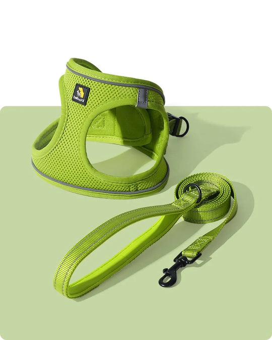 OxyMesh Velcro Step-in Harness and Leash Set