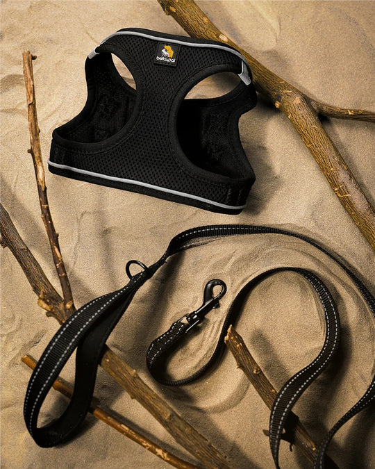 OxyMesh Velcro Step-in Harness and Leash Set
