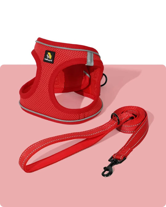 OxyMesh Velcro Step-in Harness and Leash Set