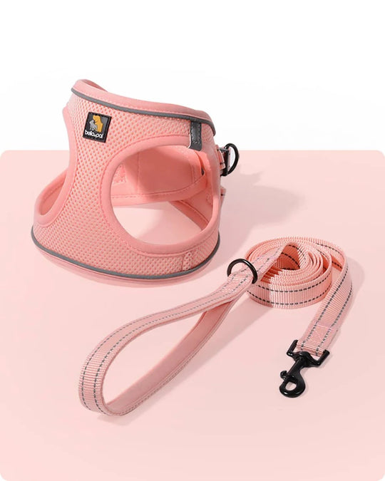 OxyMesh Velcro Step-in Harness and Leash Set