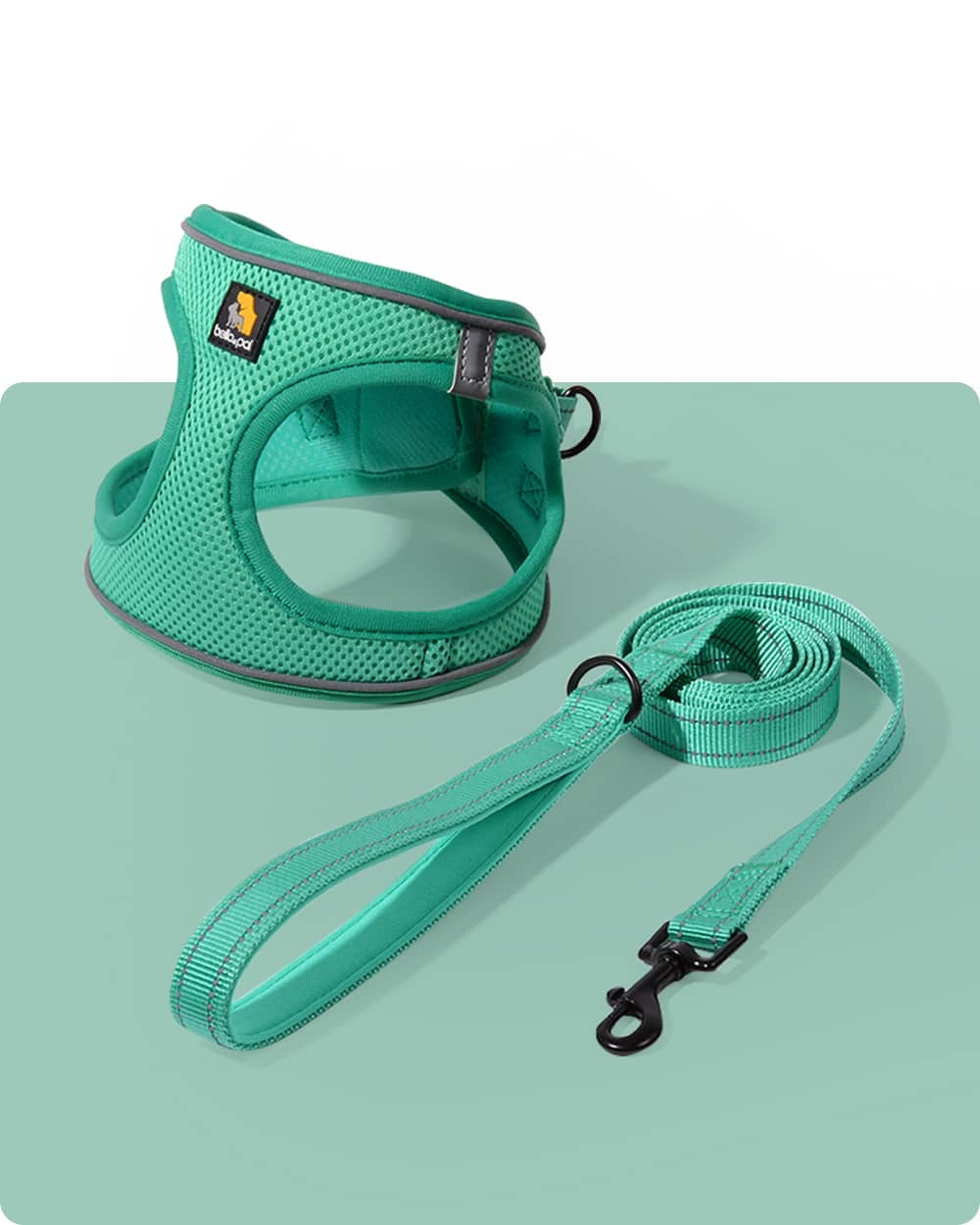 OxyMesh Velcro Step-in Harness and Leash Set
