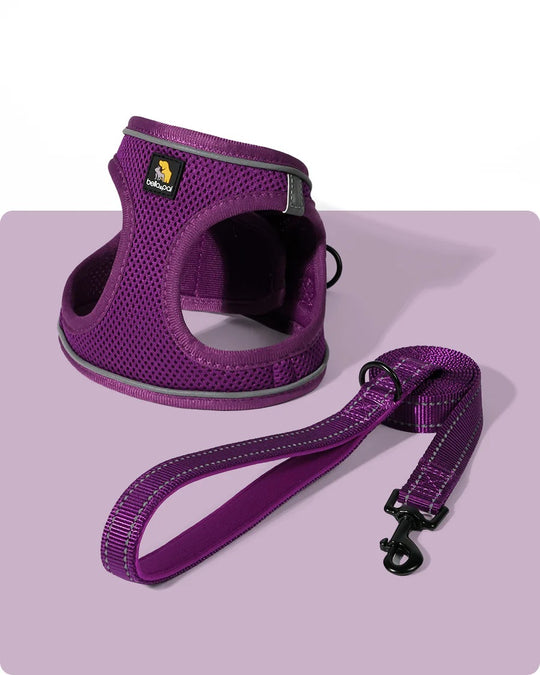 OxyMesh Velcro Step-in Harness and Leash Set
