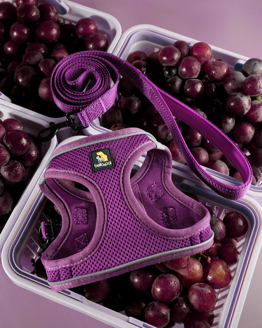 OxyMesh Velcro Step-in Harness and Leash Set