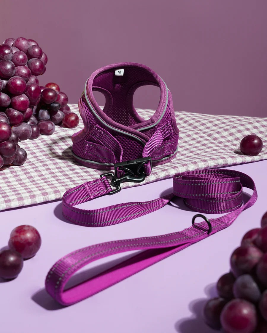 OxyMesh Velcro Step-in Harness and Leash Set