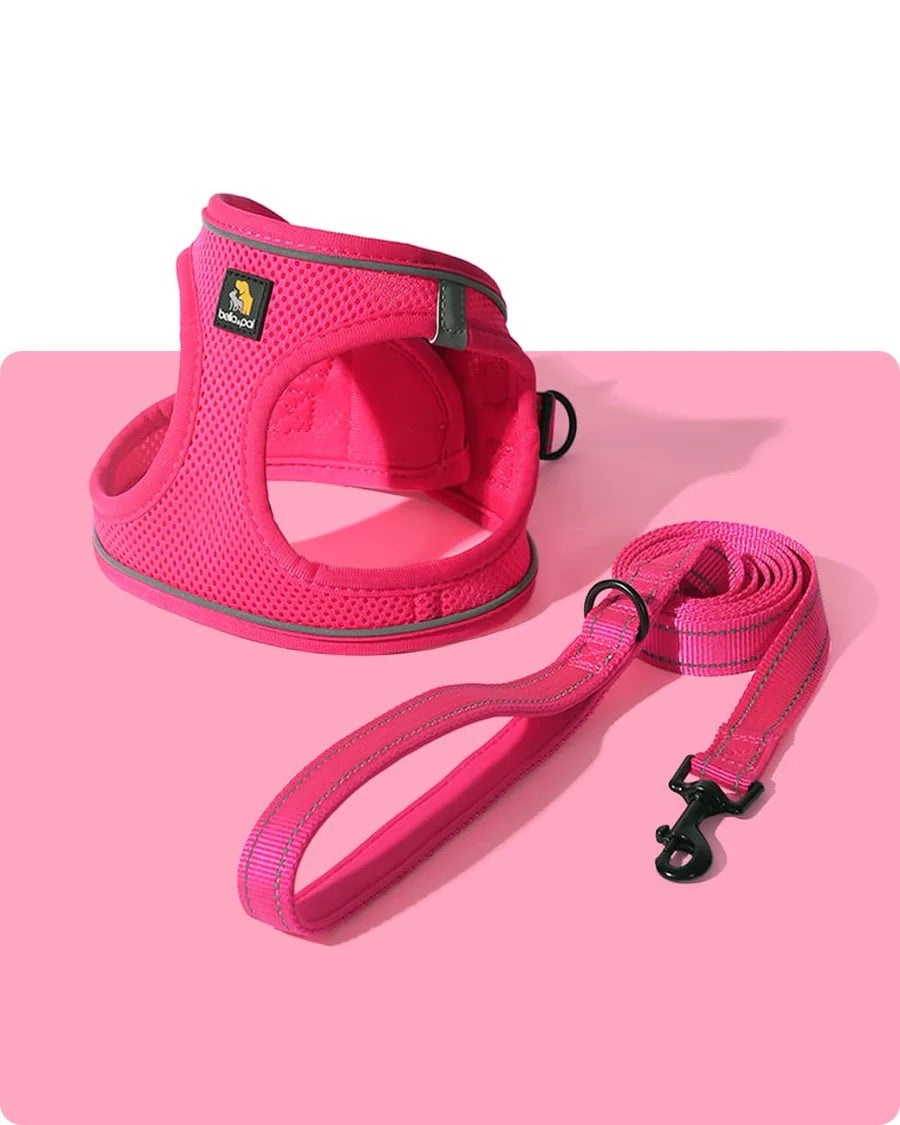 OxyMesh Velcro Step-in Harness and Leash Set