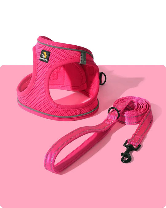 OxyMesh Velcro Step-in Harness and Leash Set