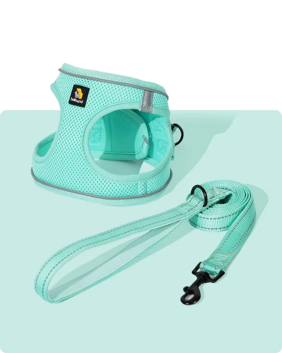 OxyMesh Velcro Step-in Harness and Leash Set