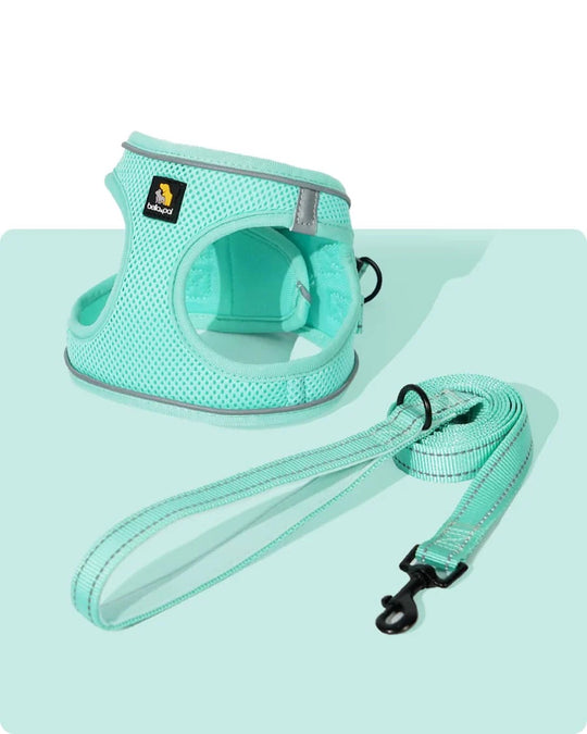 OxyMesh Velcro Step-in Harness and Leash Set