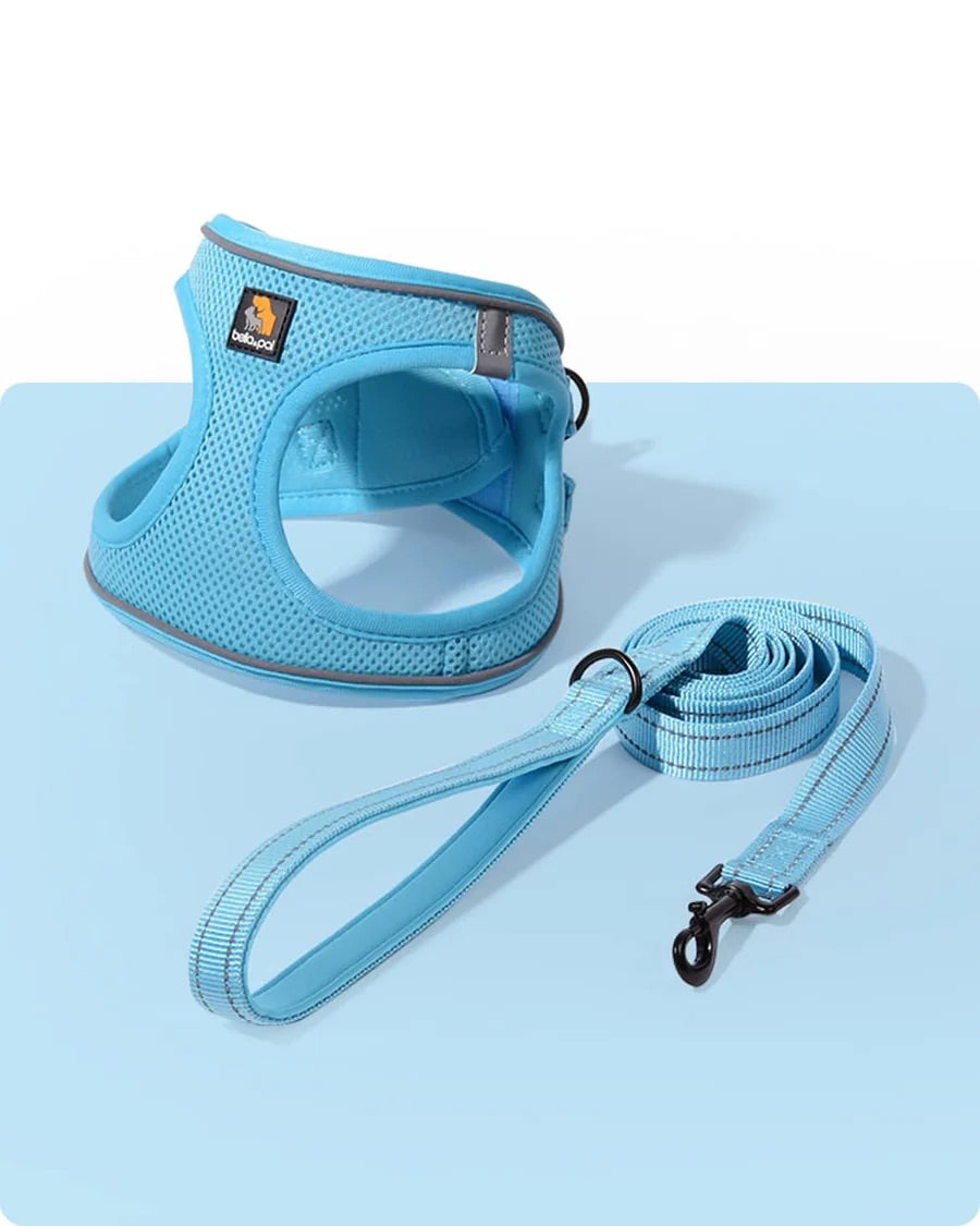 OxyMesh Velcro Step-in Harness and Leash Set
