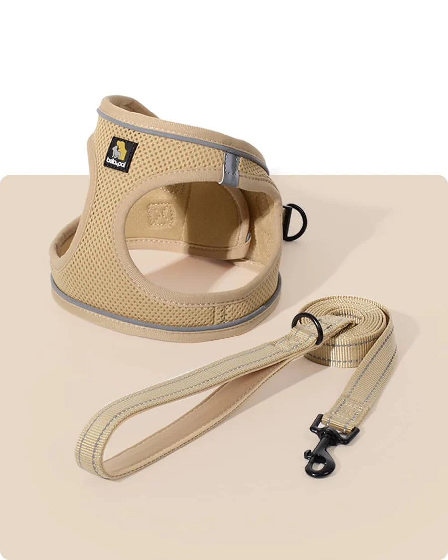 OxyMesh Velcro Step-in Harness and Leash Set