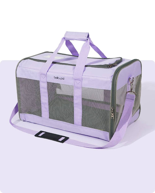 Portable Pet Travel Carrier