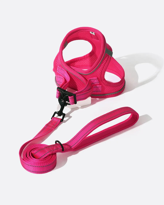 OxyMesh Velcro Step-in Harness and Leash Set