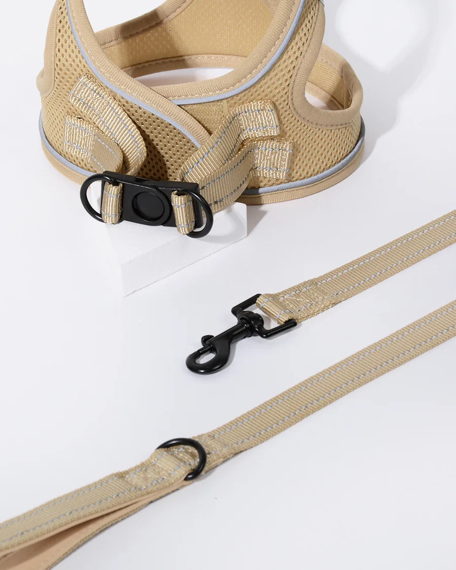 OxyMesh Velcro Step-in Harness and Leash Set