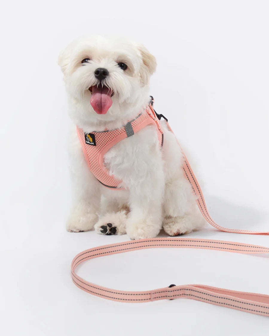 OxyMesh Velcro Step-in Harness and Leash Set