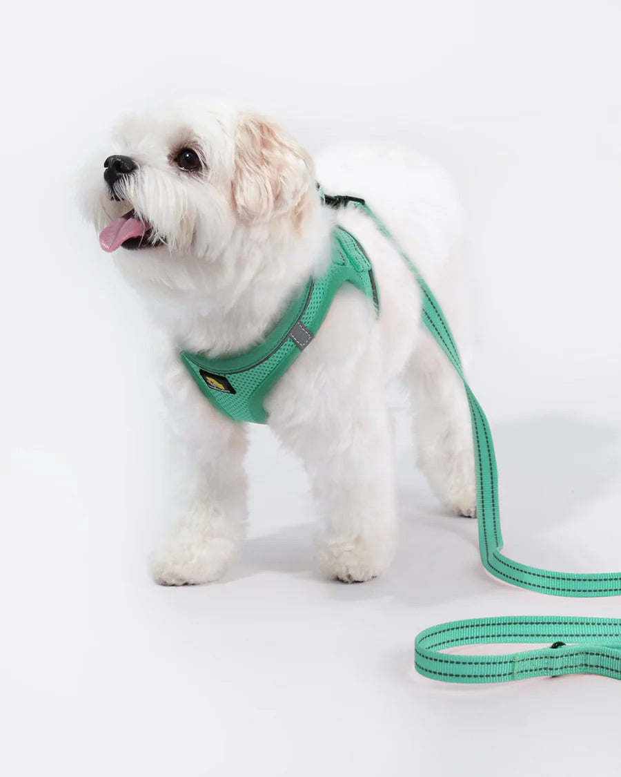 OxyMesh Velcro Step-in Harness and Leash Set