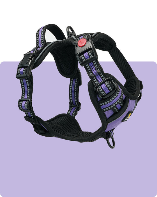 Smart Pro Easy-On No Pull Dog Harness