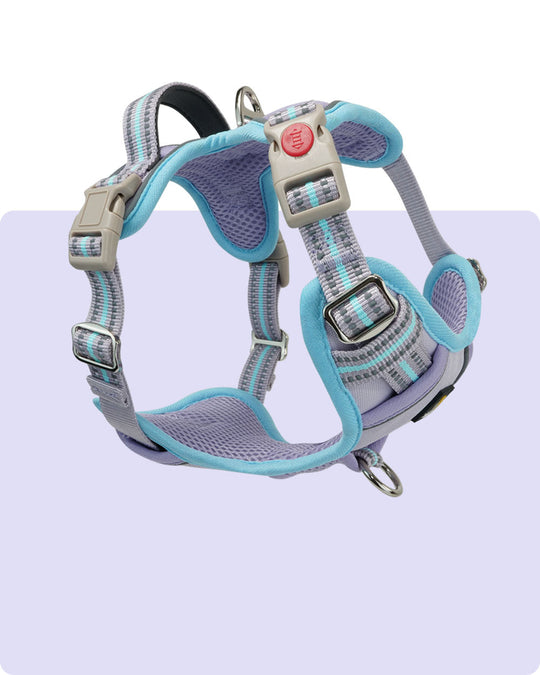 Smart Pro Easy-On No Pull Dog Harness