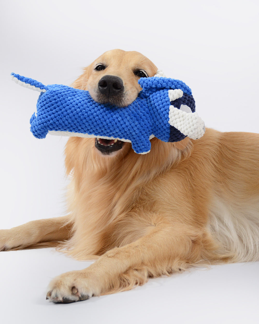 Plush Squeaky Dog Toy – Sheep