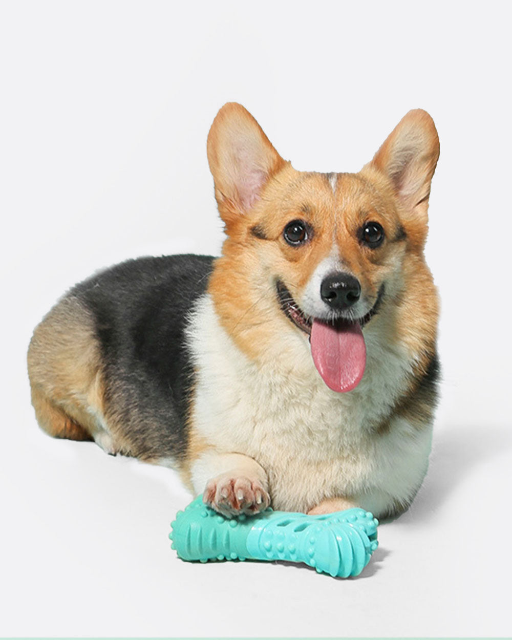 Treat Dispensing Water Toy Set - 2 Pack