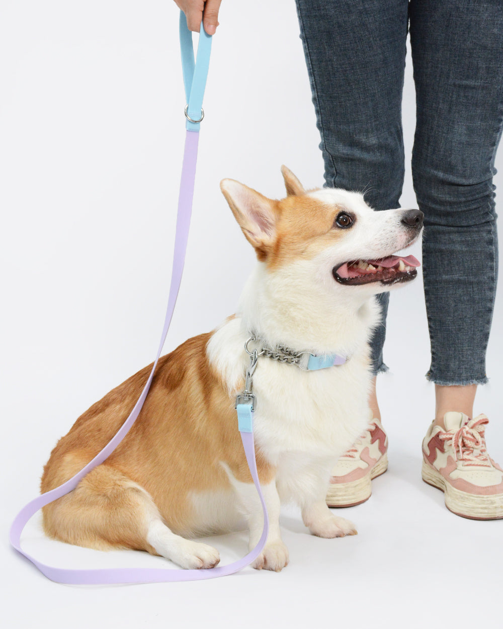 Aqua PVC Waterproof Martingale Collar and Leash Set
